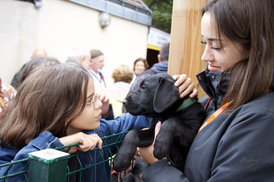 Chiens Guides Paris