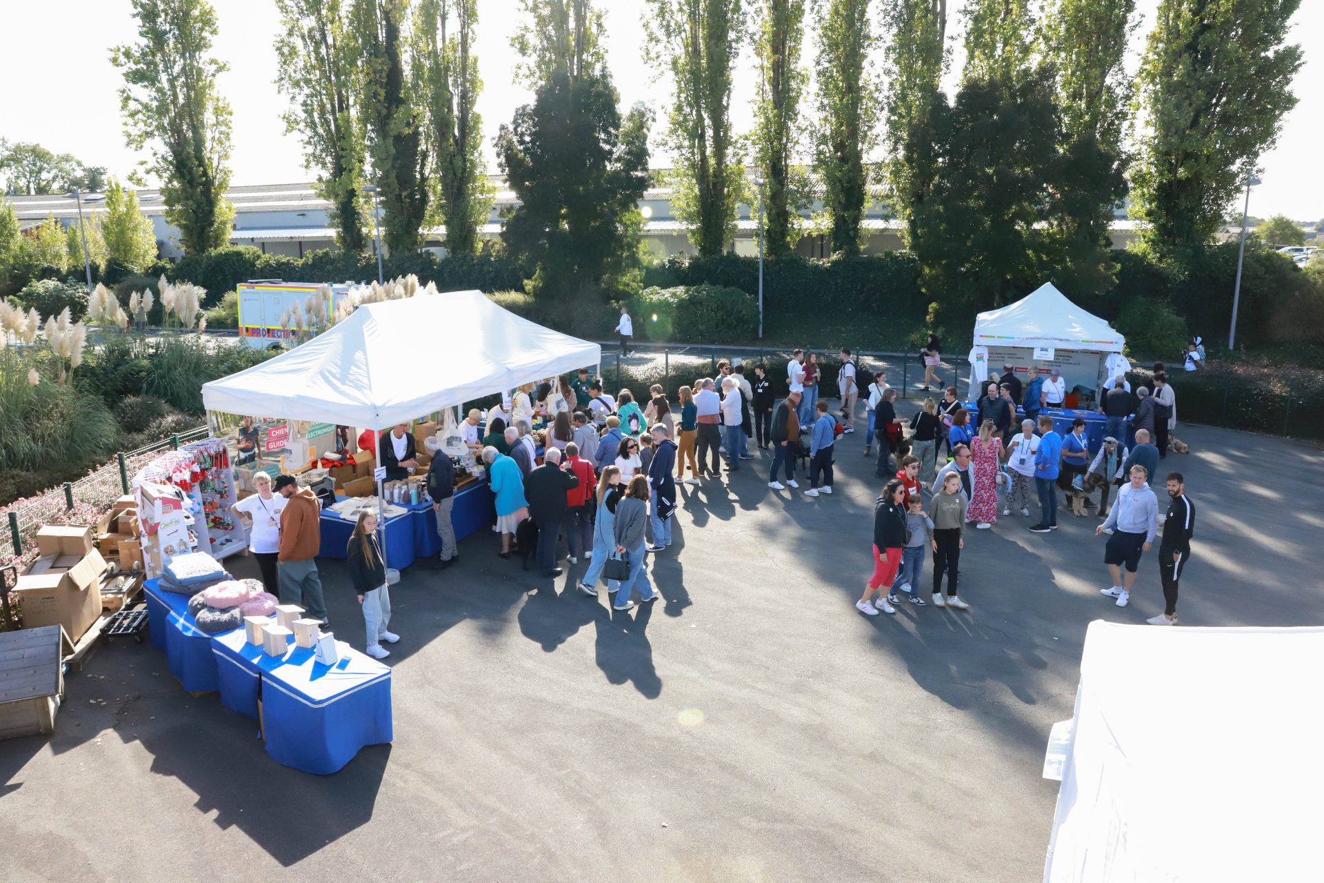 Vu de haut de plusieurs stands d'informations sous tonnelles.