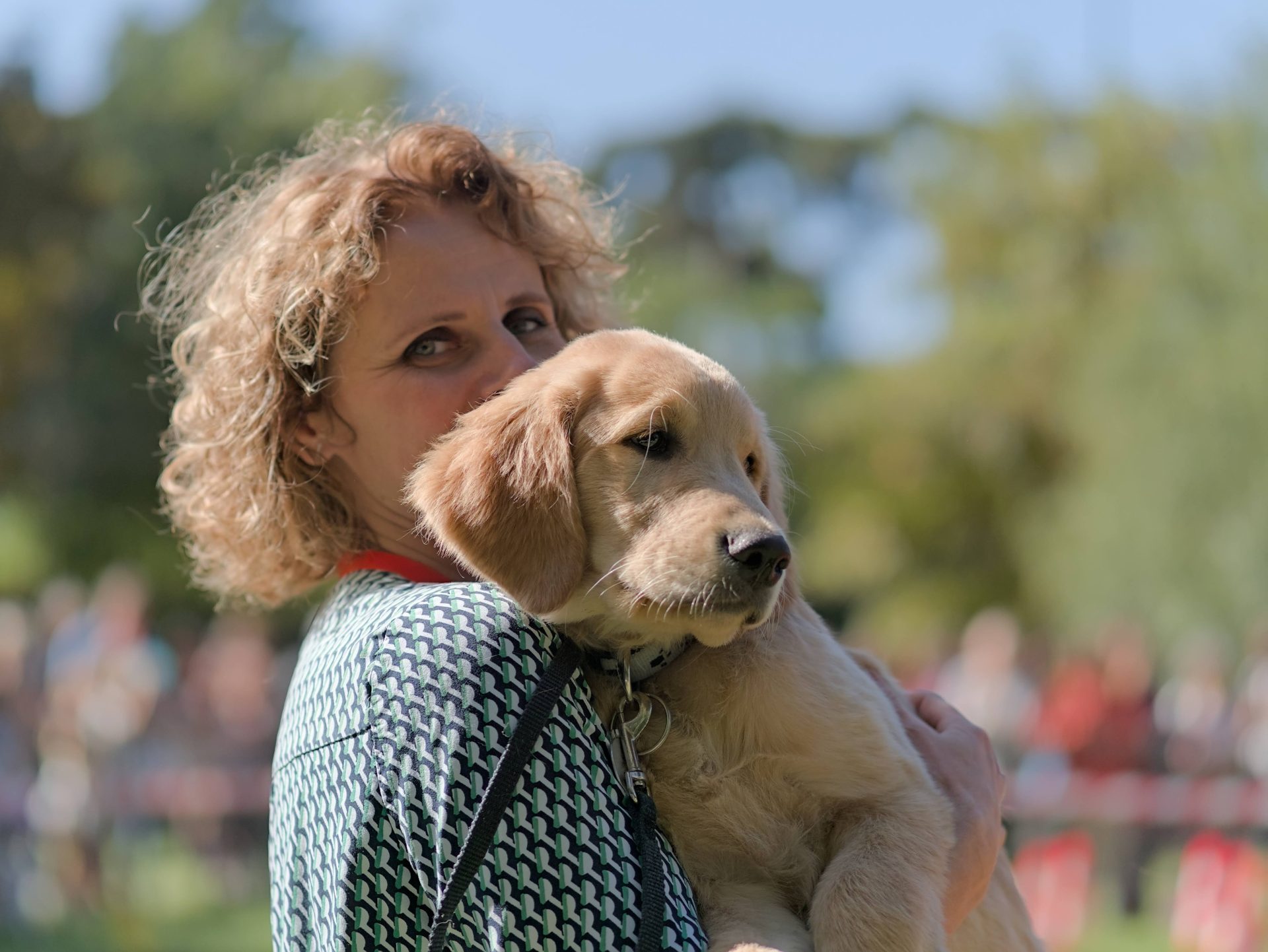 Chiens Guides Paris